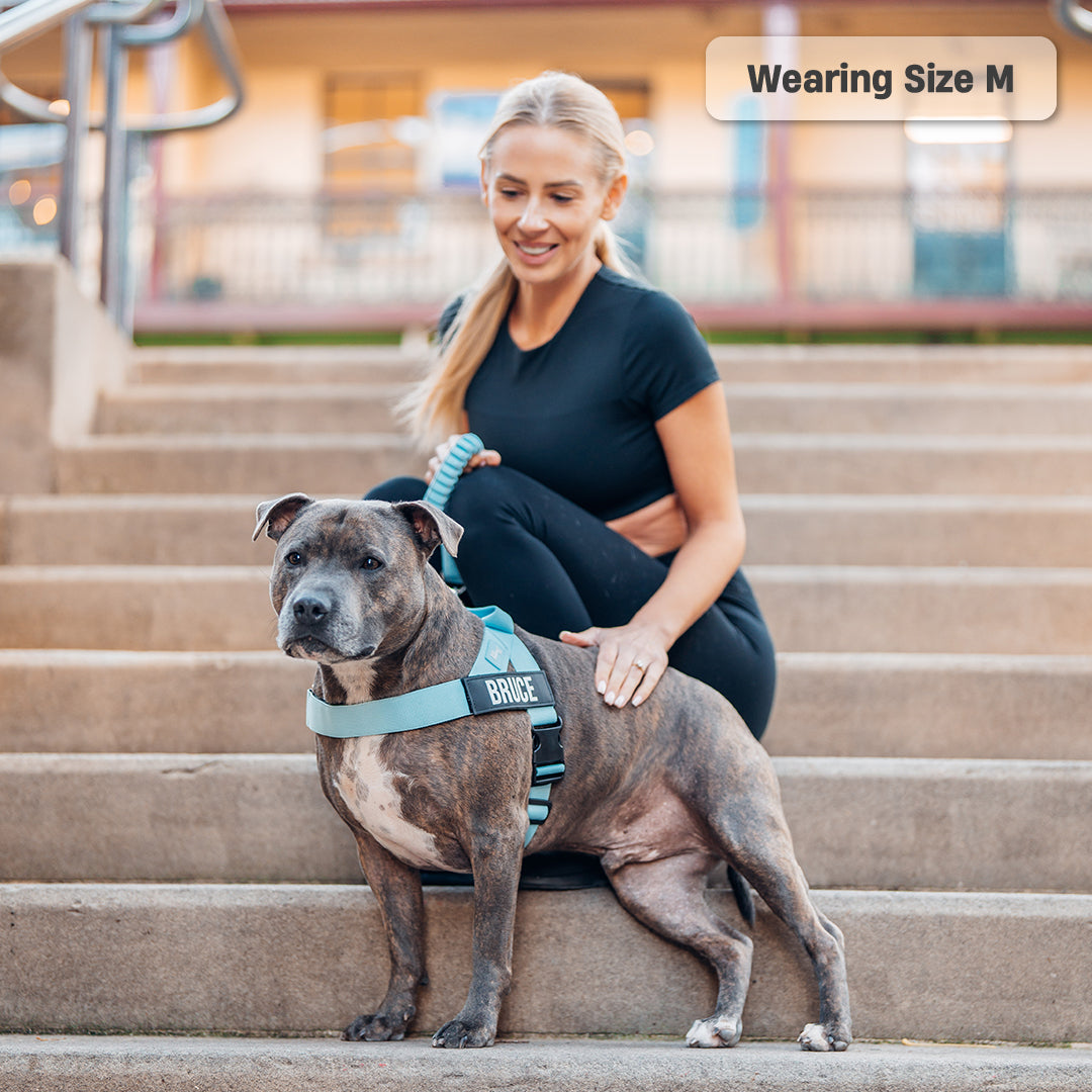 Signature Kit - Sky Blue