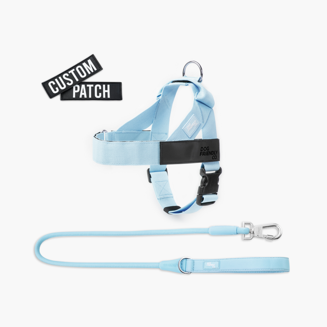 Signature Kit - Sky Blue