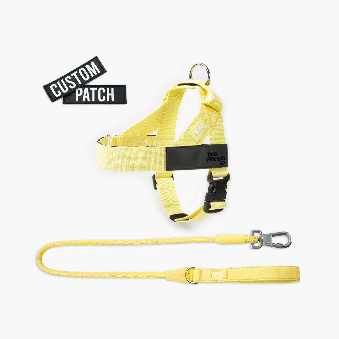 Signature Kit - Yellow