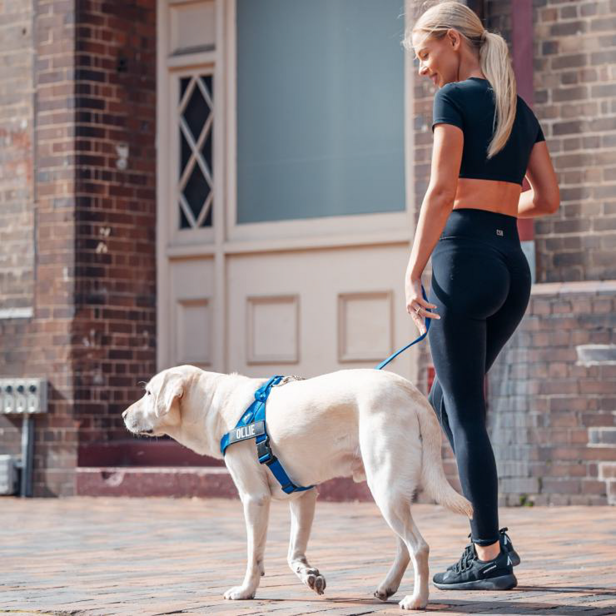 Signature Kit