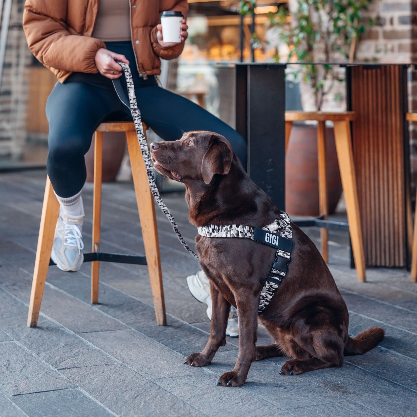 Signature Kit - Grey Camo