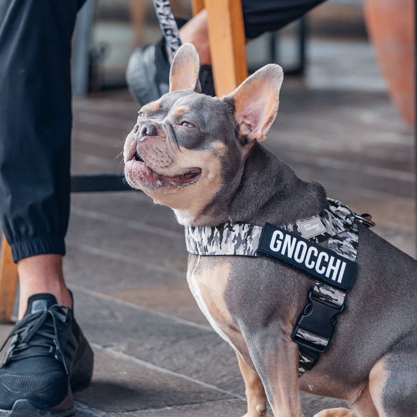 Signature Kit - Grey Camo