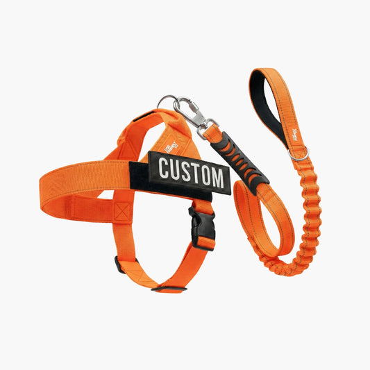 Signature Kit - Orange