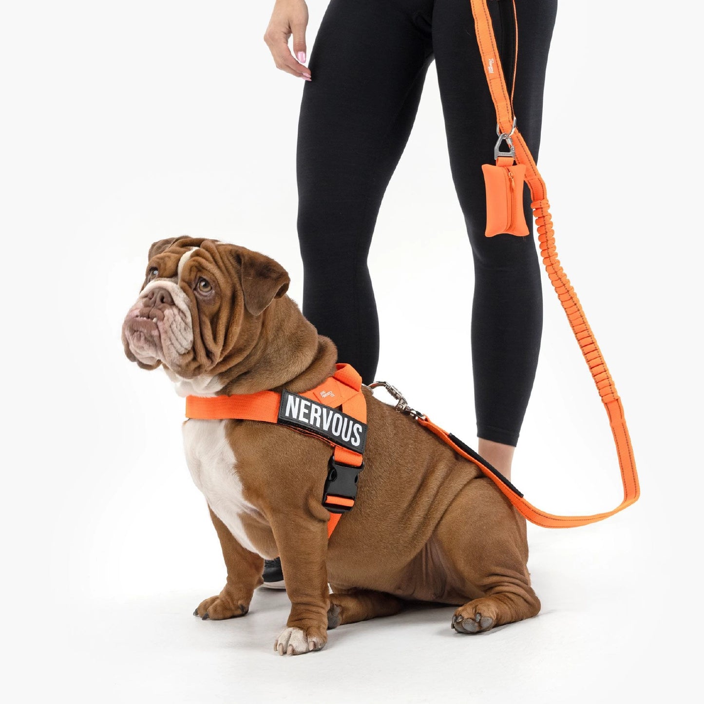 Signature Kit - Orange