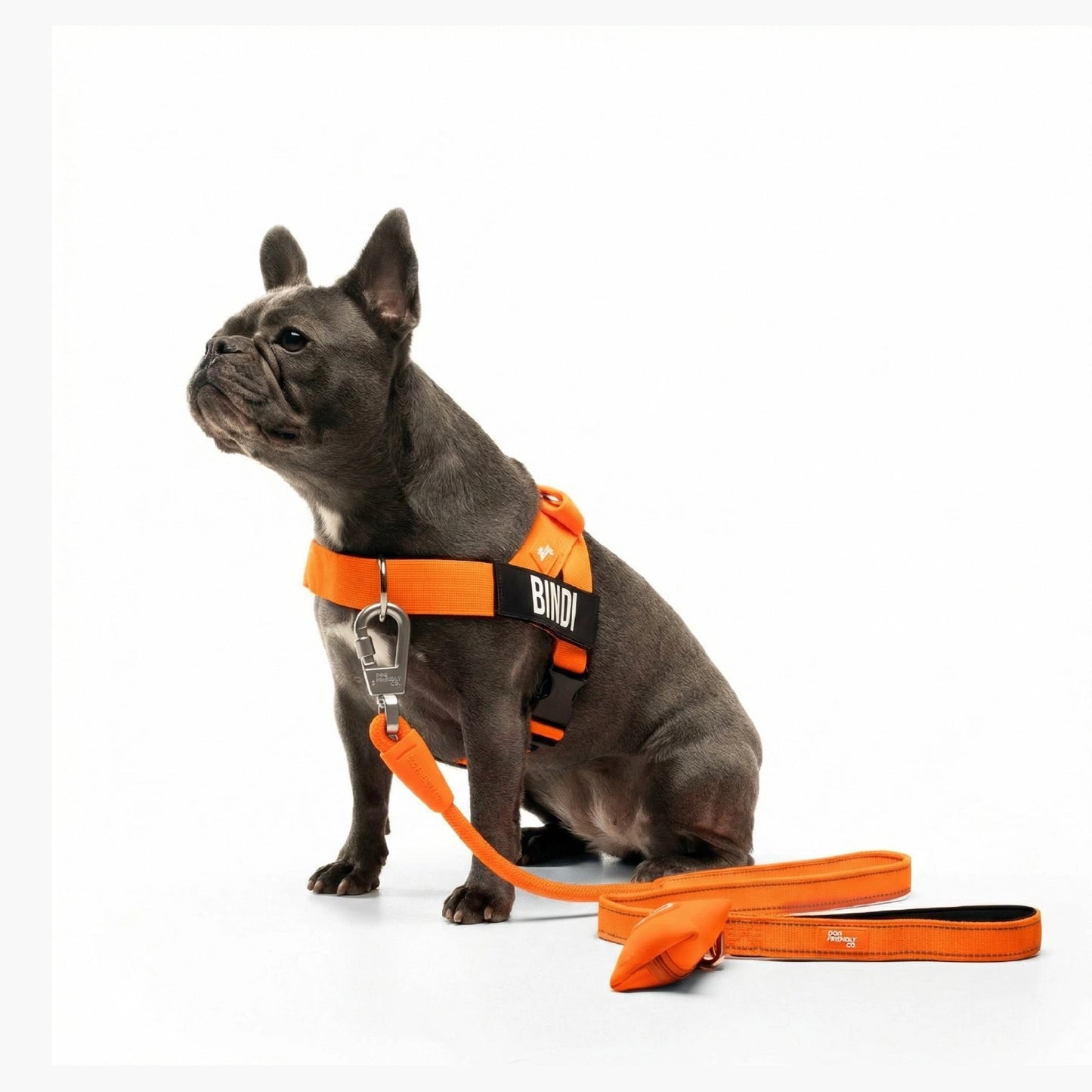 Signature Kit - Orange