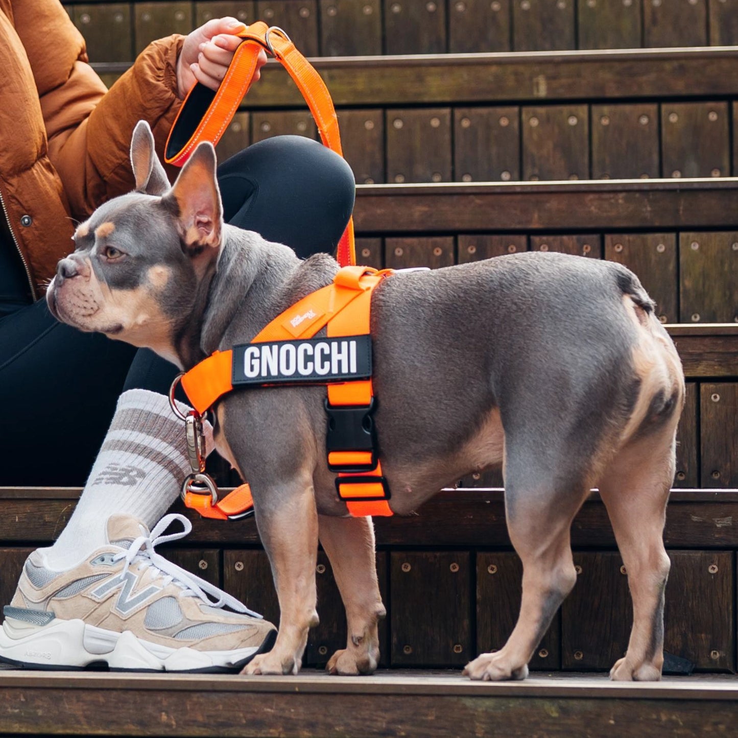 Signature Kit - Orange