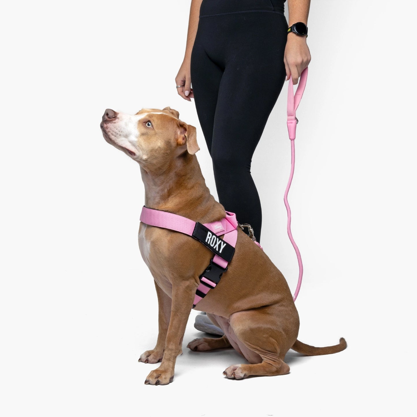 Signature Kit - Pink