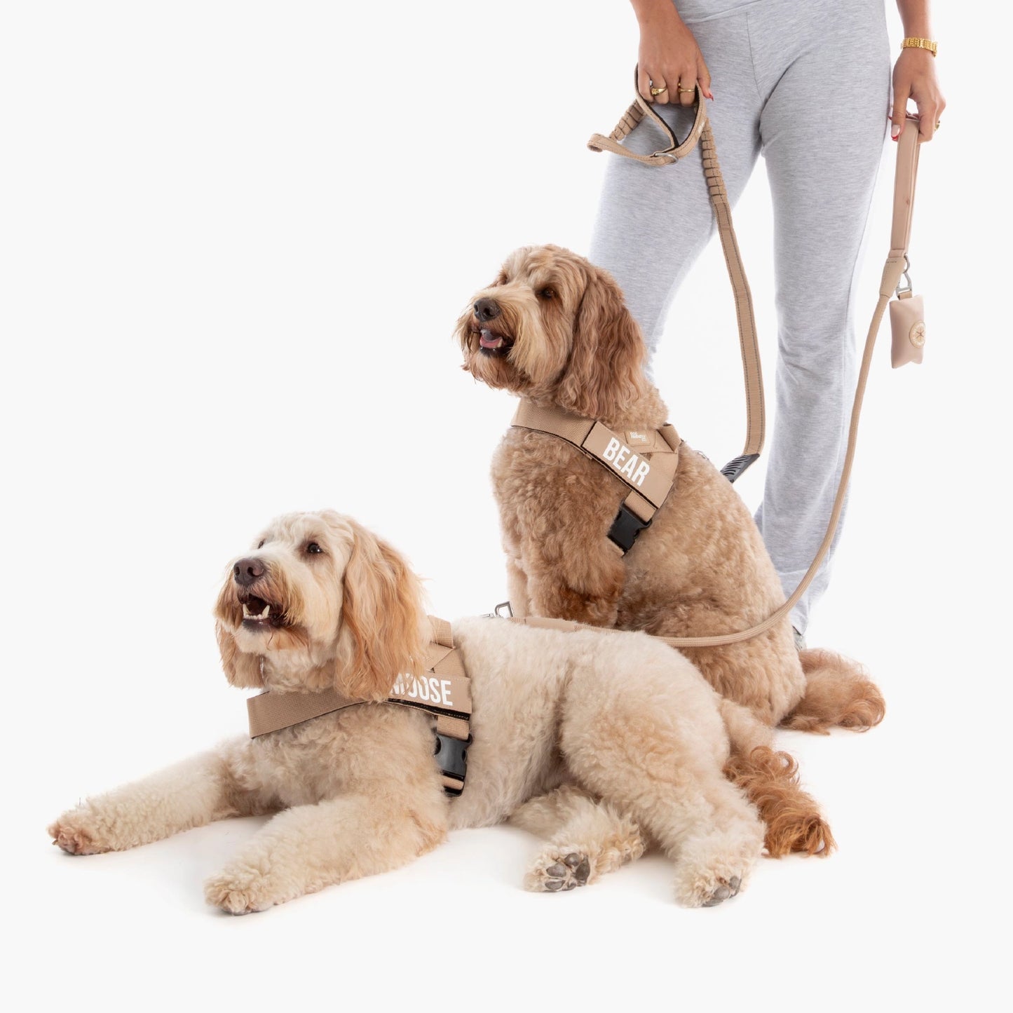 Signature Kit - Brown