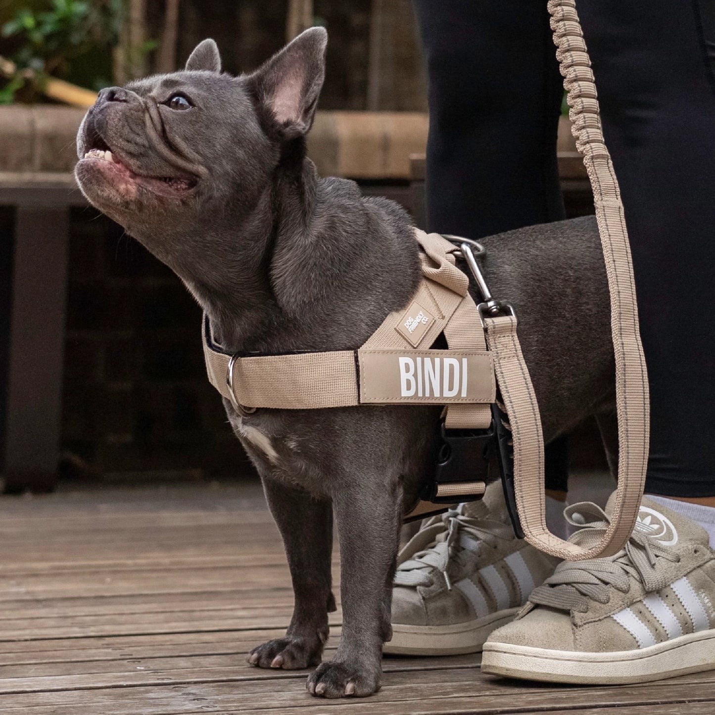 Signature Kit - Brown