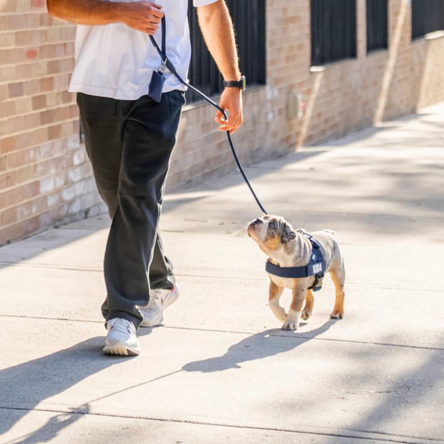 Signature Kit - Navy Blue