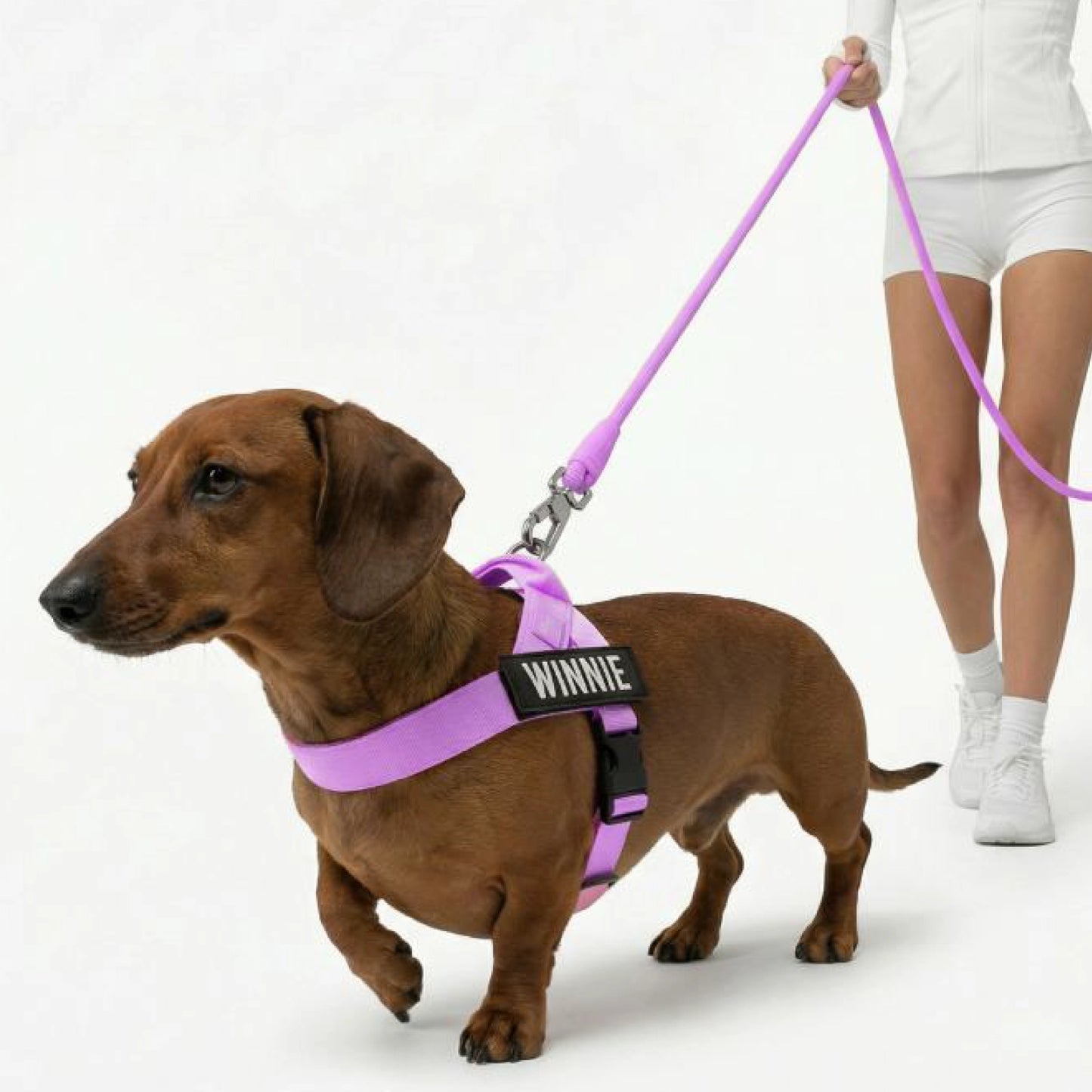 Signature Kit - Purple