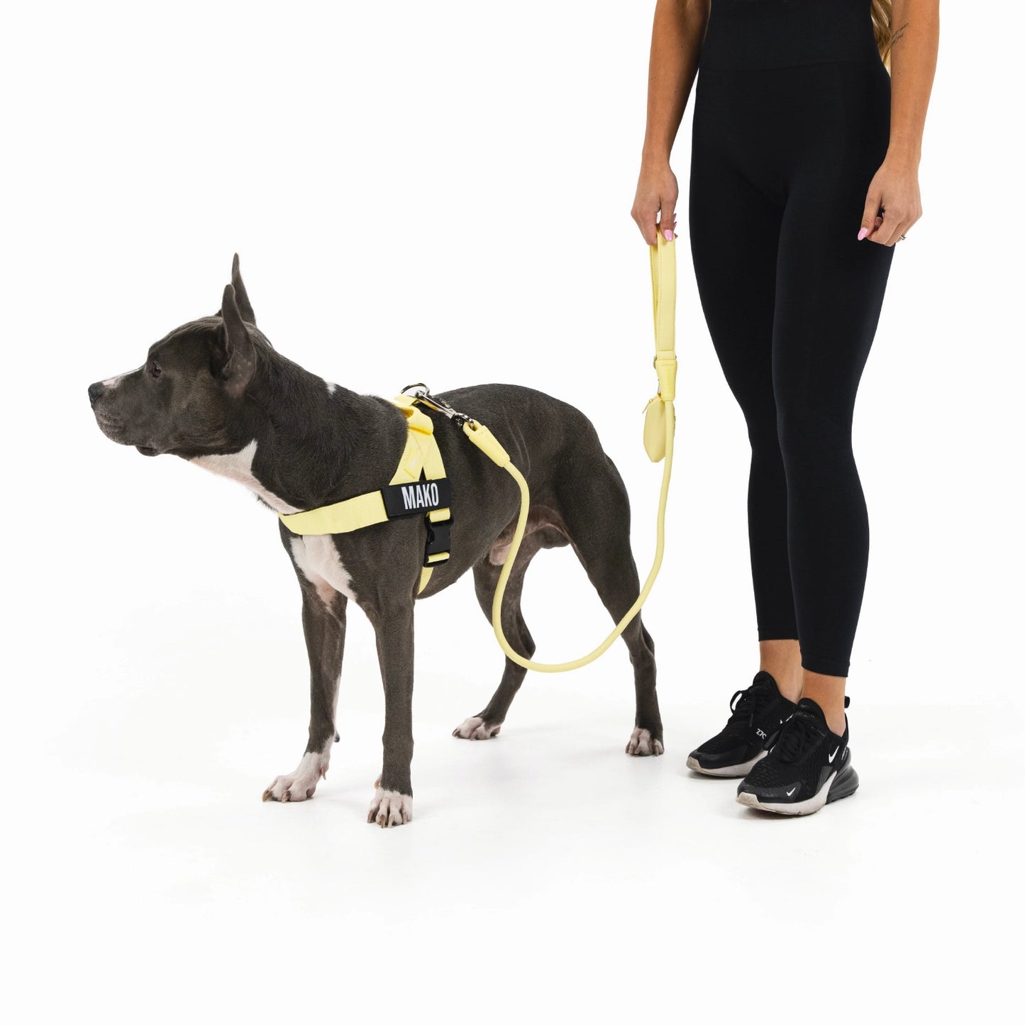 Signature Kit - Yellow