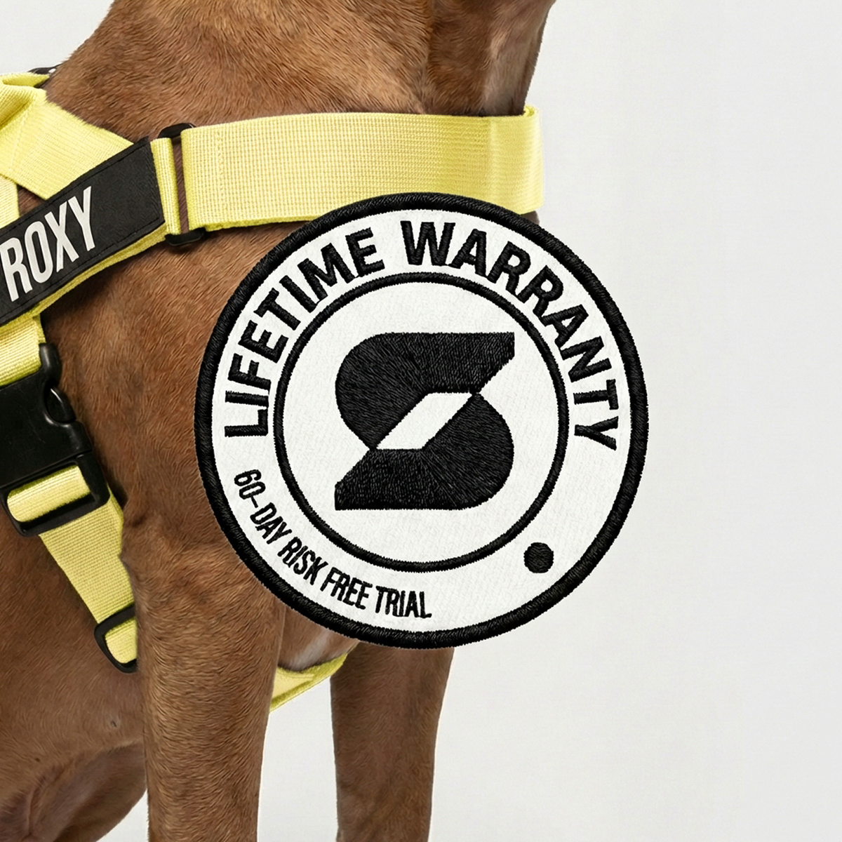 Dog Friendly Lifetime Warranty 60-Day Risk Free Trial.