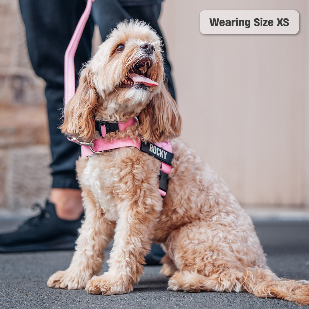 Walk Essentials - Pink