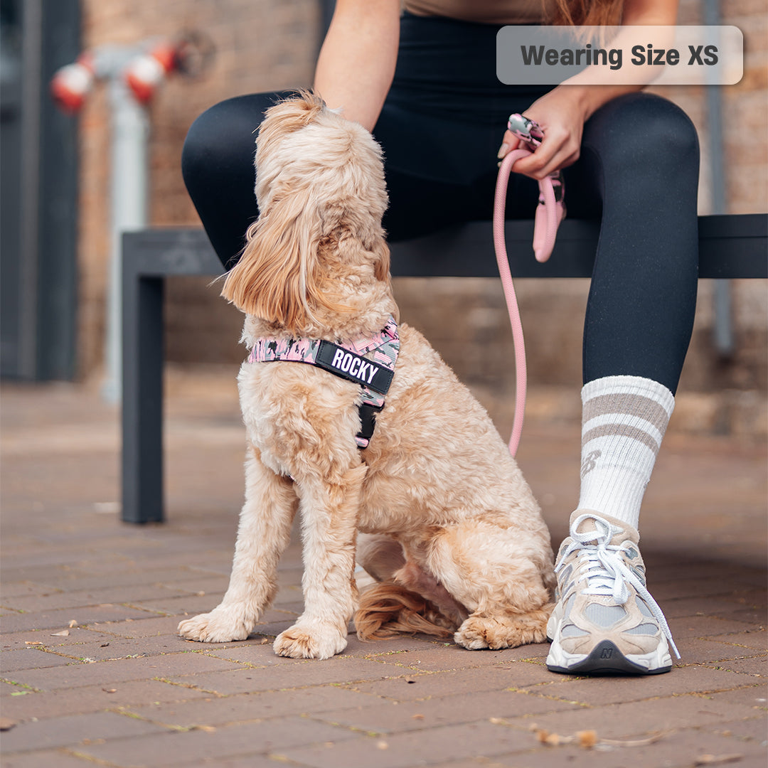 Walk Essentials - Pink Camo