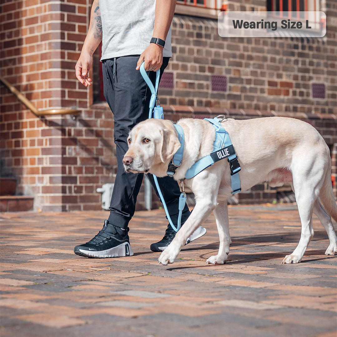 Walk Essentials - Sky Blue