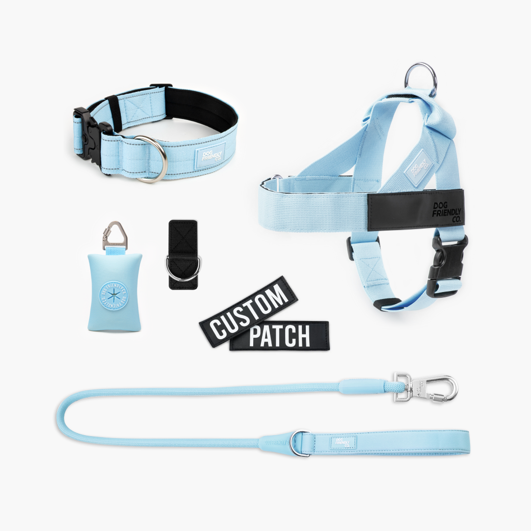 Walk Essentials - Sky Blue