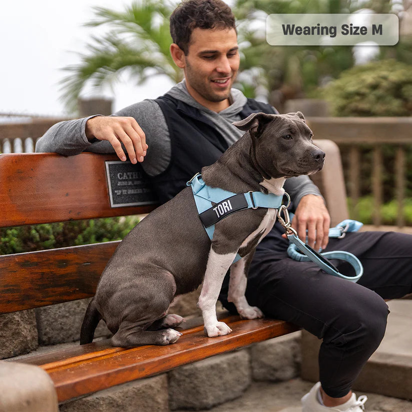 Dog Harness + FREE D-ring