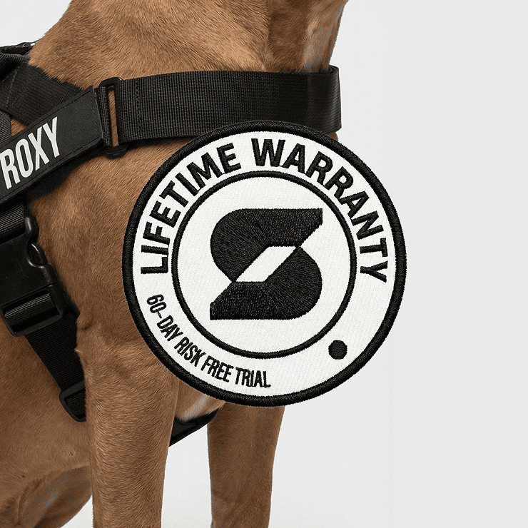 Personalised Dog Harness - Black