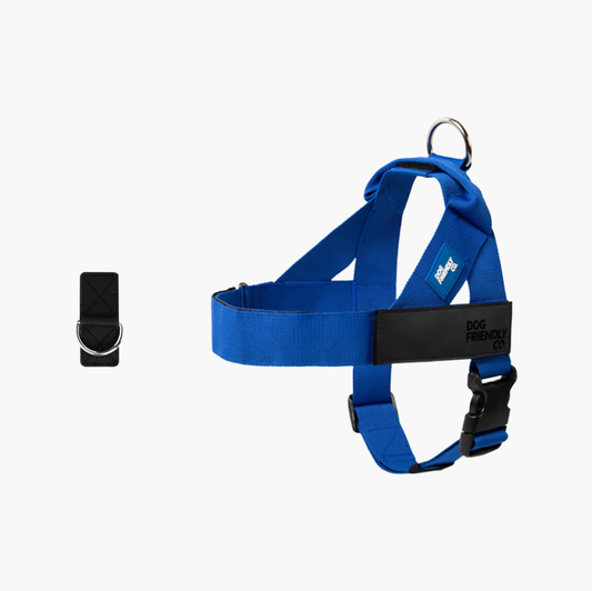 Dog Harness + FREE D-ring