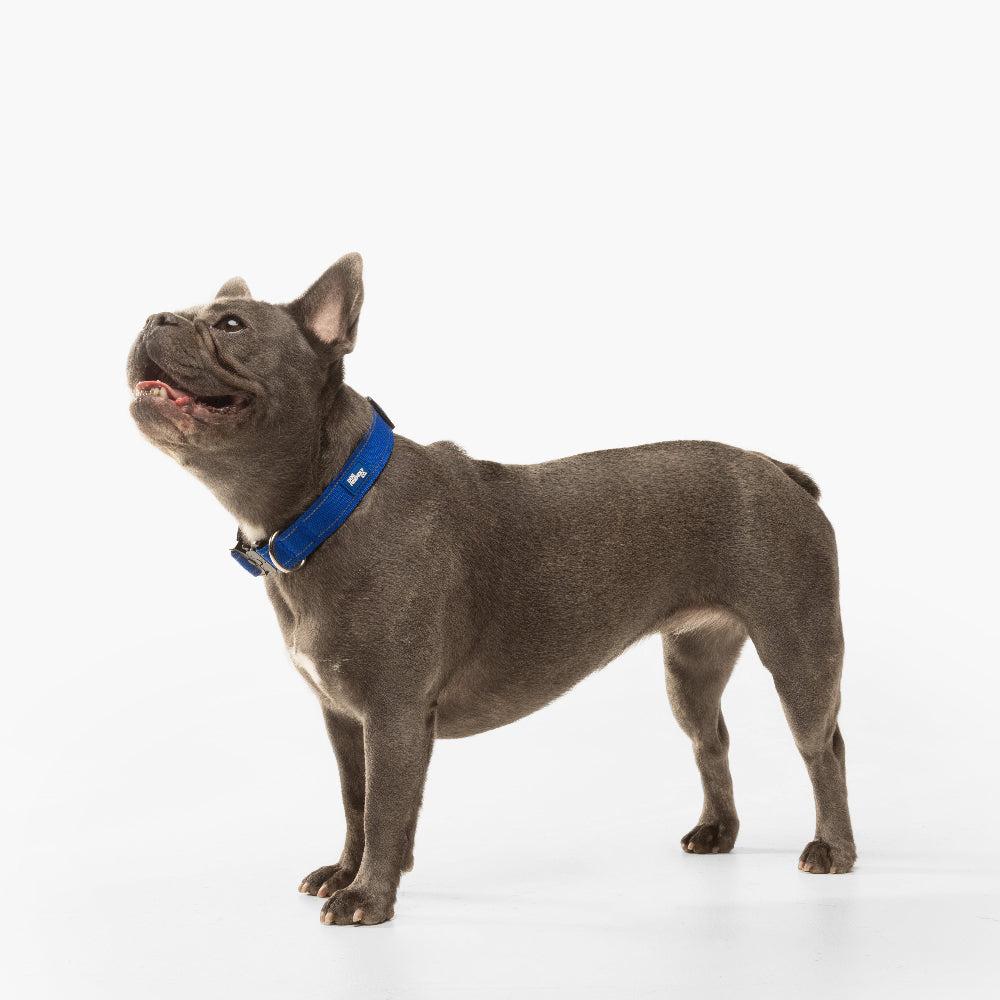 Dog Lovers Pack - Classic Blue