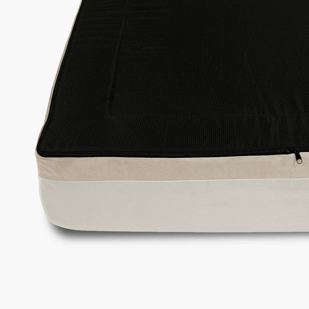 Replacement Cover - Champagne