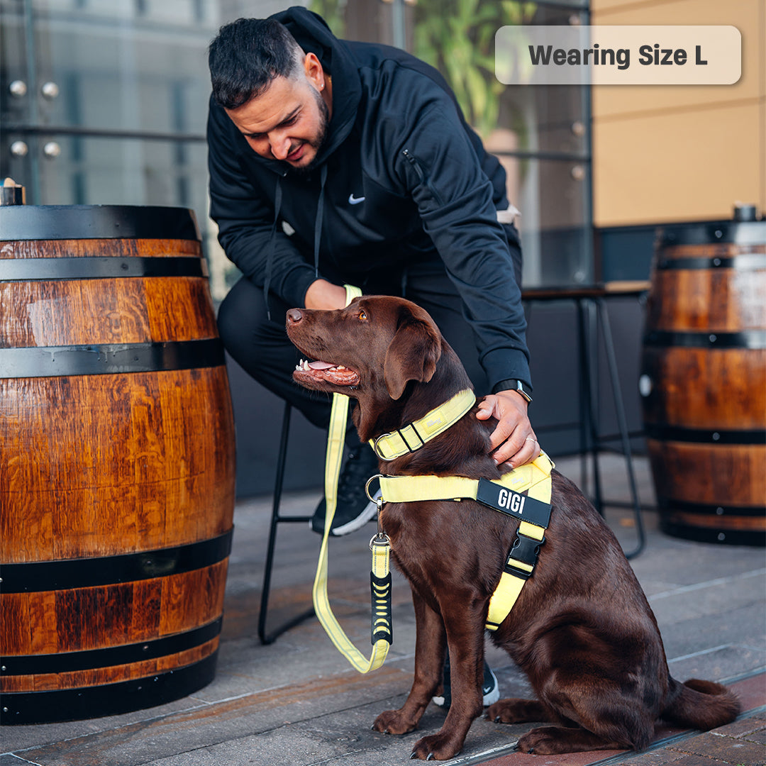 Dog Harness - Yellow