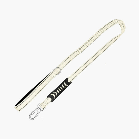 Bungee Dog Leash - Latte (Limited Edition)