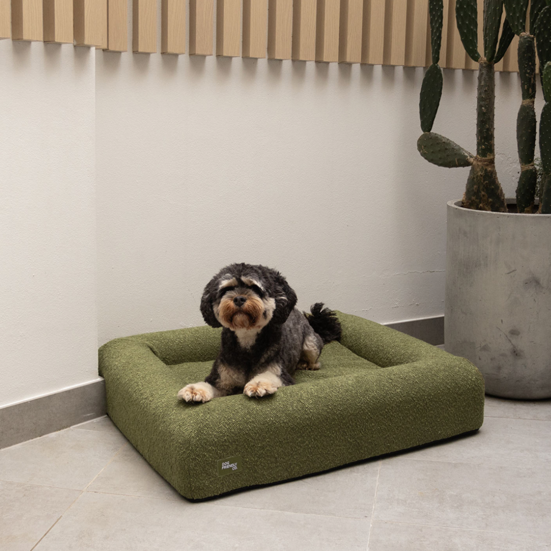 Premium Orthopedic Memory Foam Dog Bed - Green Bouclé (Small)