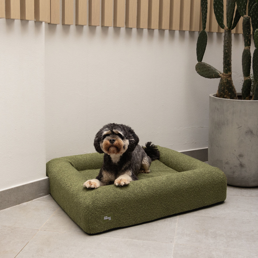 Premium Orthopedic Memory Foam Dog Bed - Green Bouclé (Large)