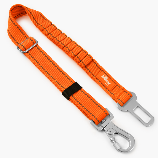 Dog Seat Belt - Hi-Vis Orange