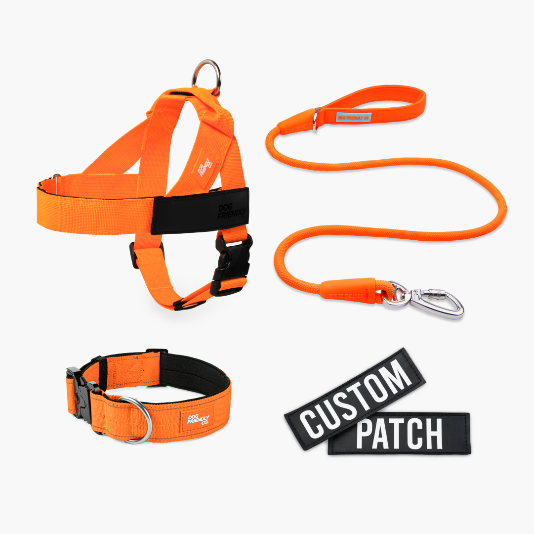Dog Lovers Pack - Hi-Vis Orange