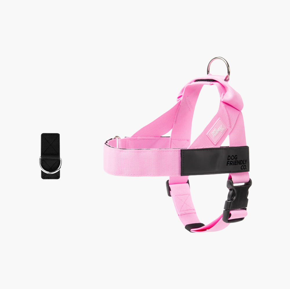 Dog Harness + FREE D-ring